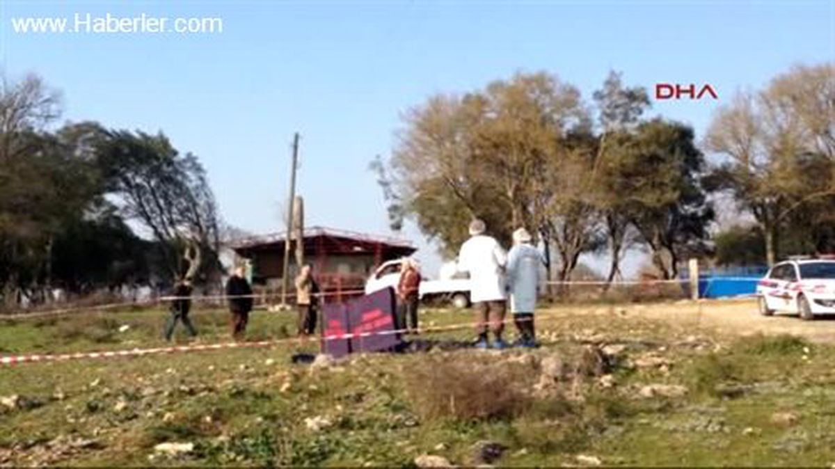 Damadın Koyun Otlatma Öfkesi Kan Akıttı