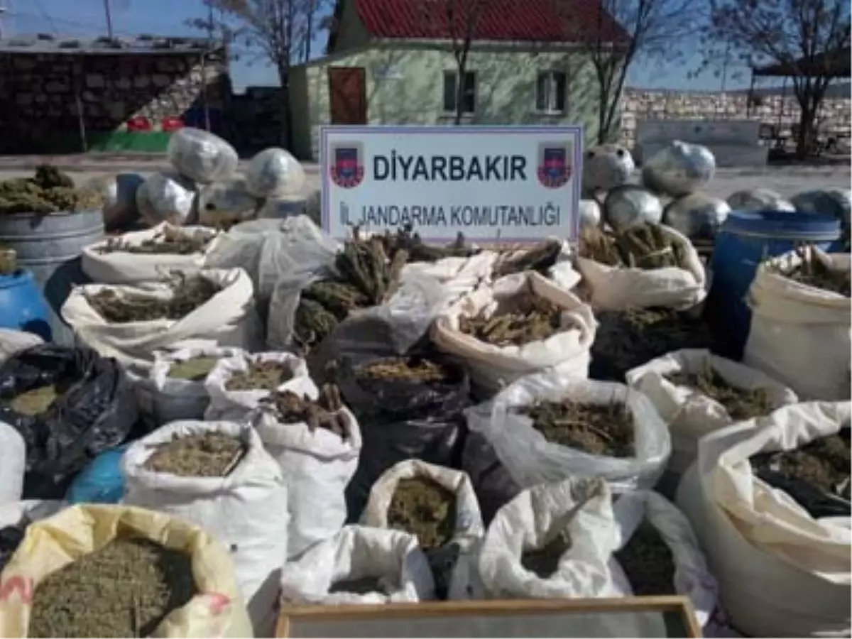 Diyarbakır Hani\'de Bin 200 Kilo Uyuşturucu Ele Geçti