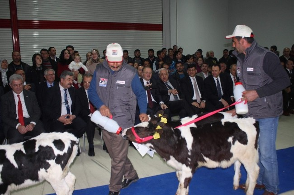 Gapfood Gıda Fuarı Gtb Damgası