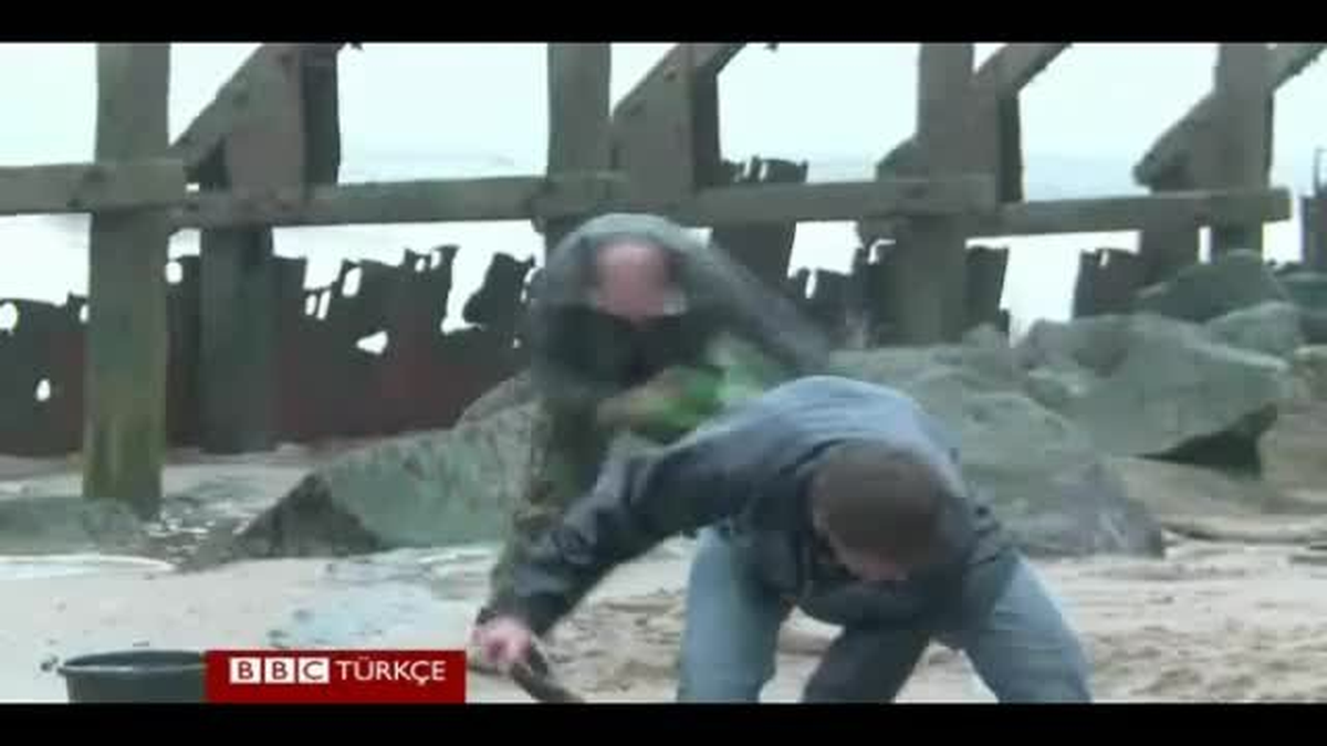 İngiltere Sahilinde 800 Bin Yıllık Ayakizleri