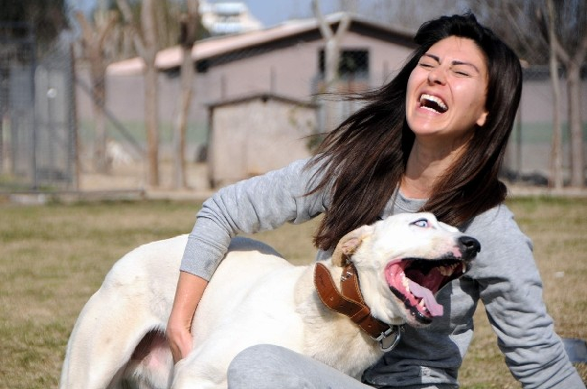 Antalya\'da Köpeğe Haciz