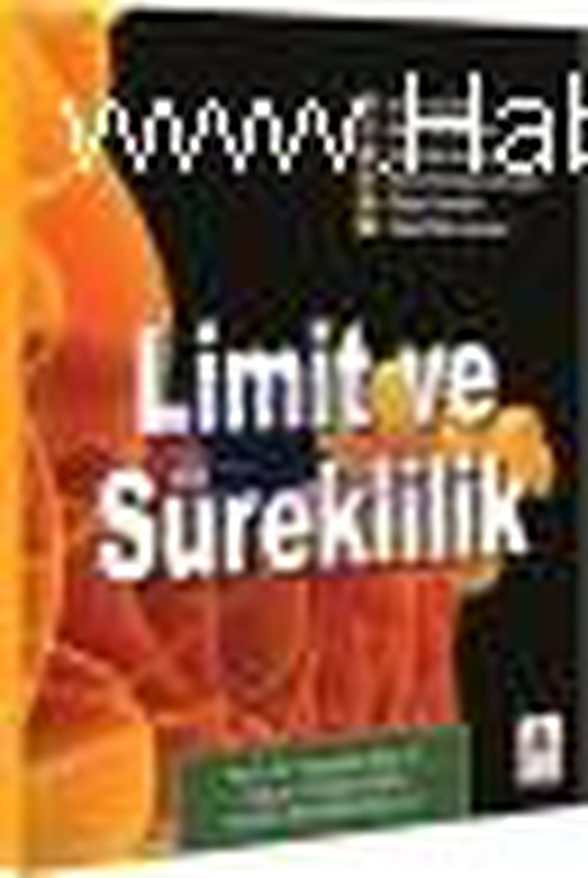 Limit ve Süreklilik Kitabı