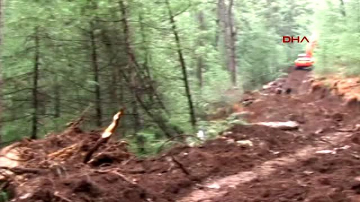 Muğla\'da Yerel Seçim Sonrası Doğa Katliamı Endişesi