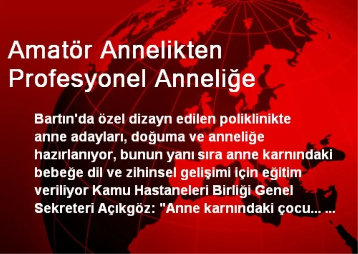 Amatör Annelikten Profesyonel Anneliğe