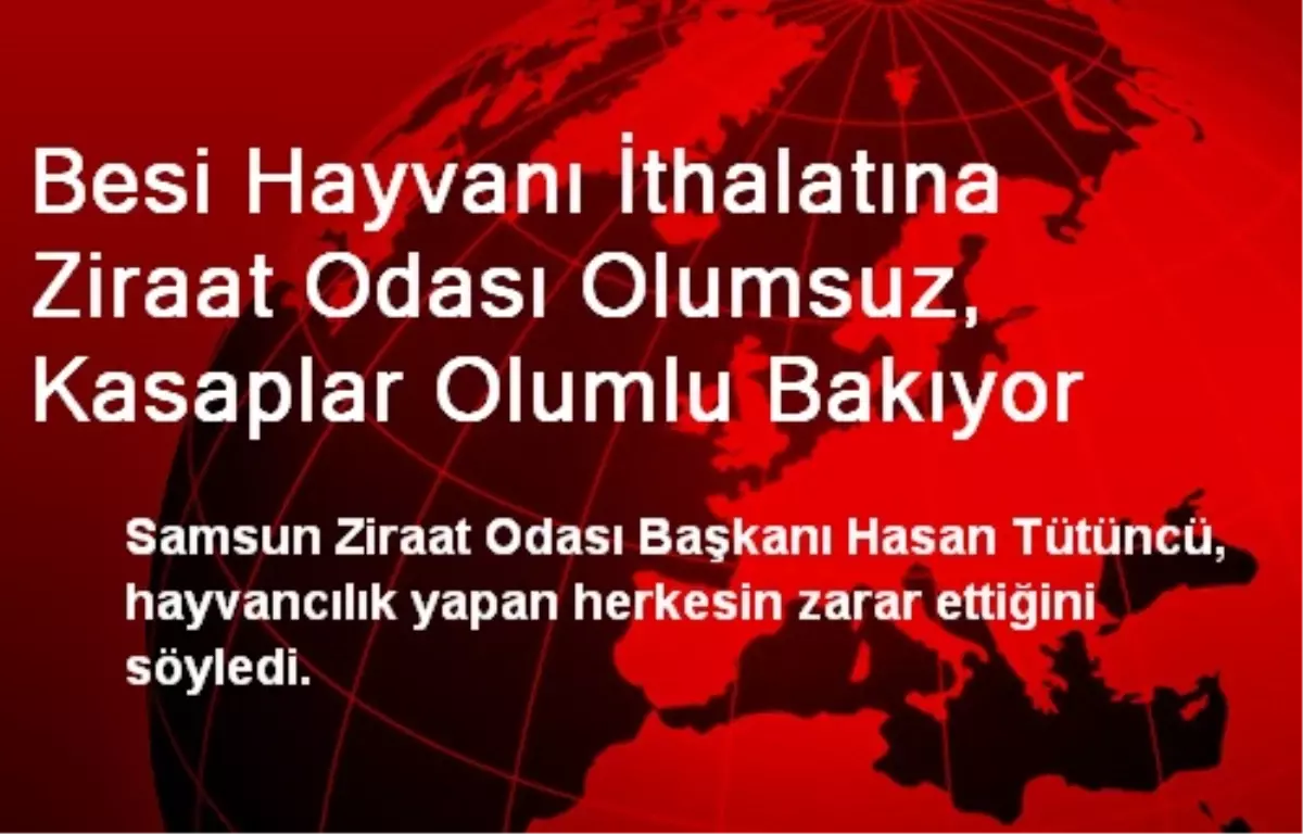 Besi Hayvanı İthalatına Ziraat Odası Olumsuz, Kasaplar Olumlu Bakıyor