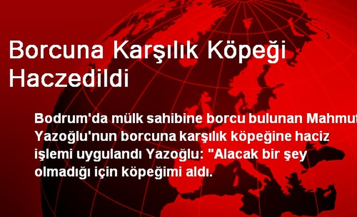 Borcuna Karşılık Köpeği Haczedildi