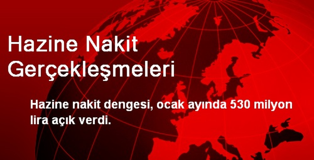 Hazine Nakit Gerçekleşmeleri
