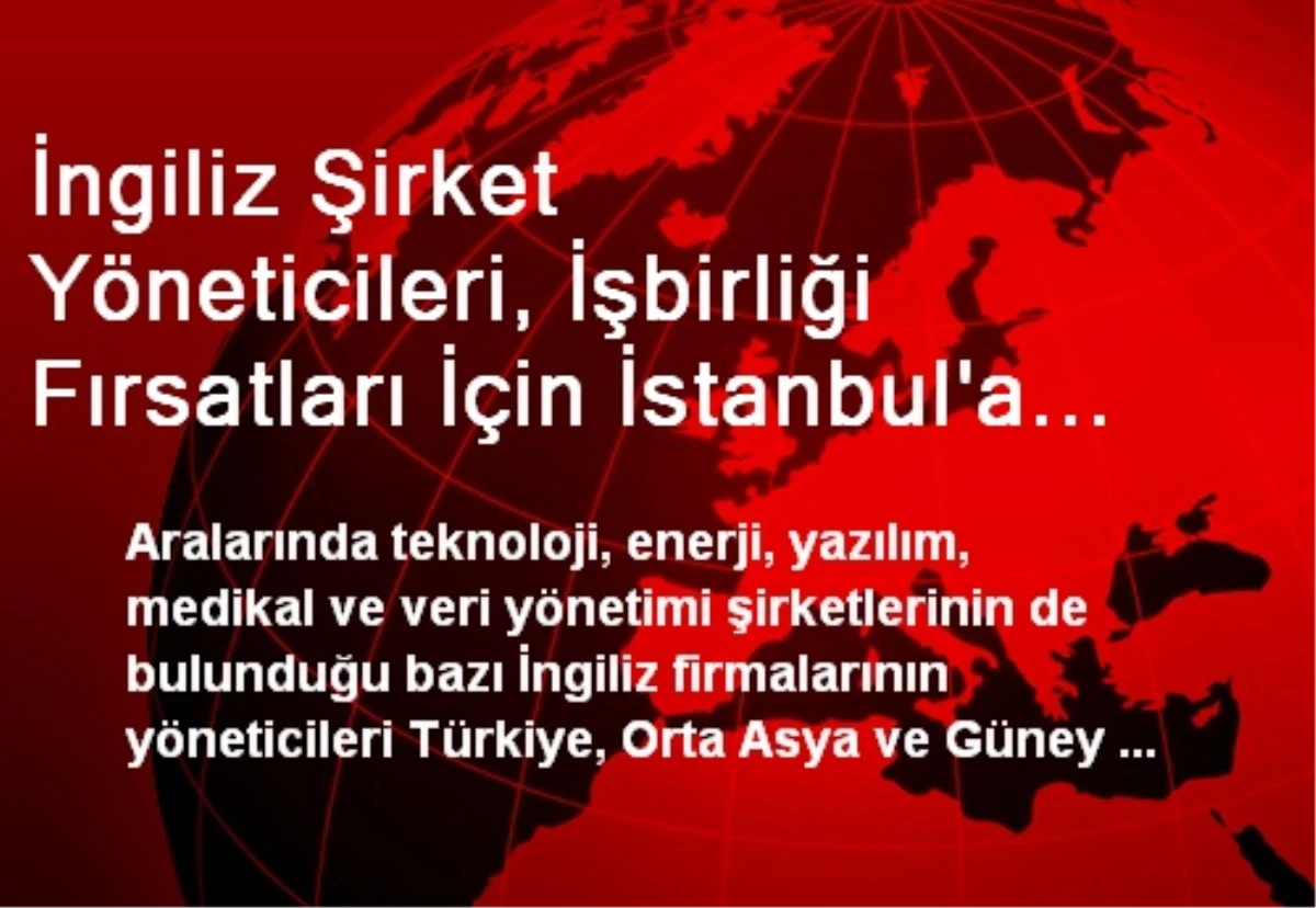 İngiliz Şirket Yöneticileri, İşbirliği Fırsatları İçin İstanbul\'a Gelecek