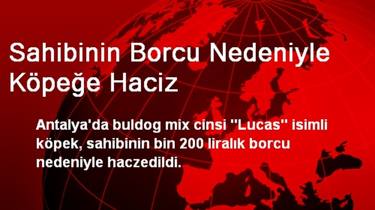 Sahibinin Borcu Nedeniyle Köpeğe Haciz
