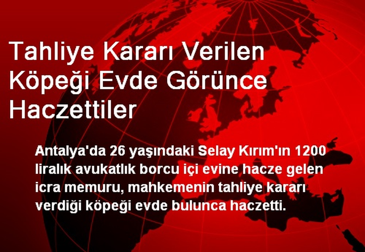 Tahliye Kararı Verilen Köpeği Evde Görünce Haczettiler