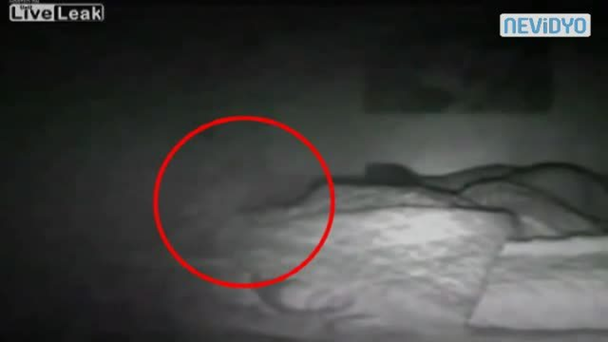 Şeytan Mı, Hayalet Mi?" +18