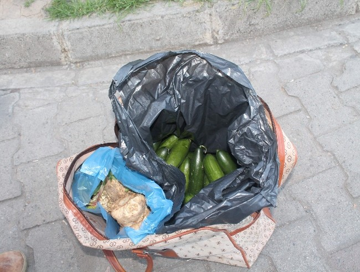 Şüpheli Paketten \'Hıyar\' Çıktı