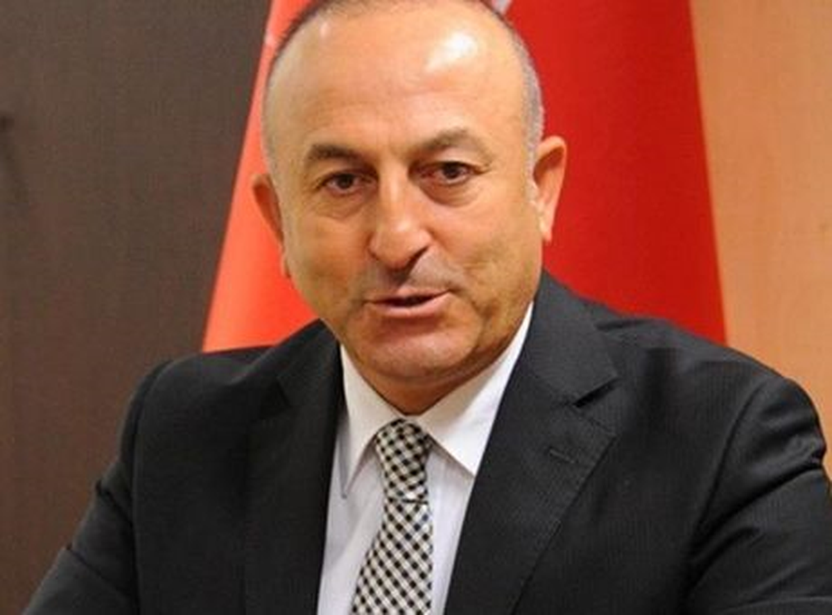 AB Bakanı Çavuşoğlu, Tokat\'ta