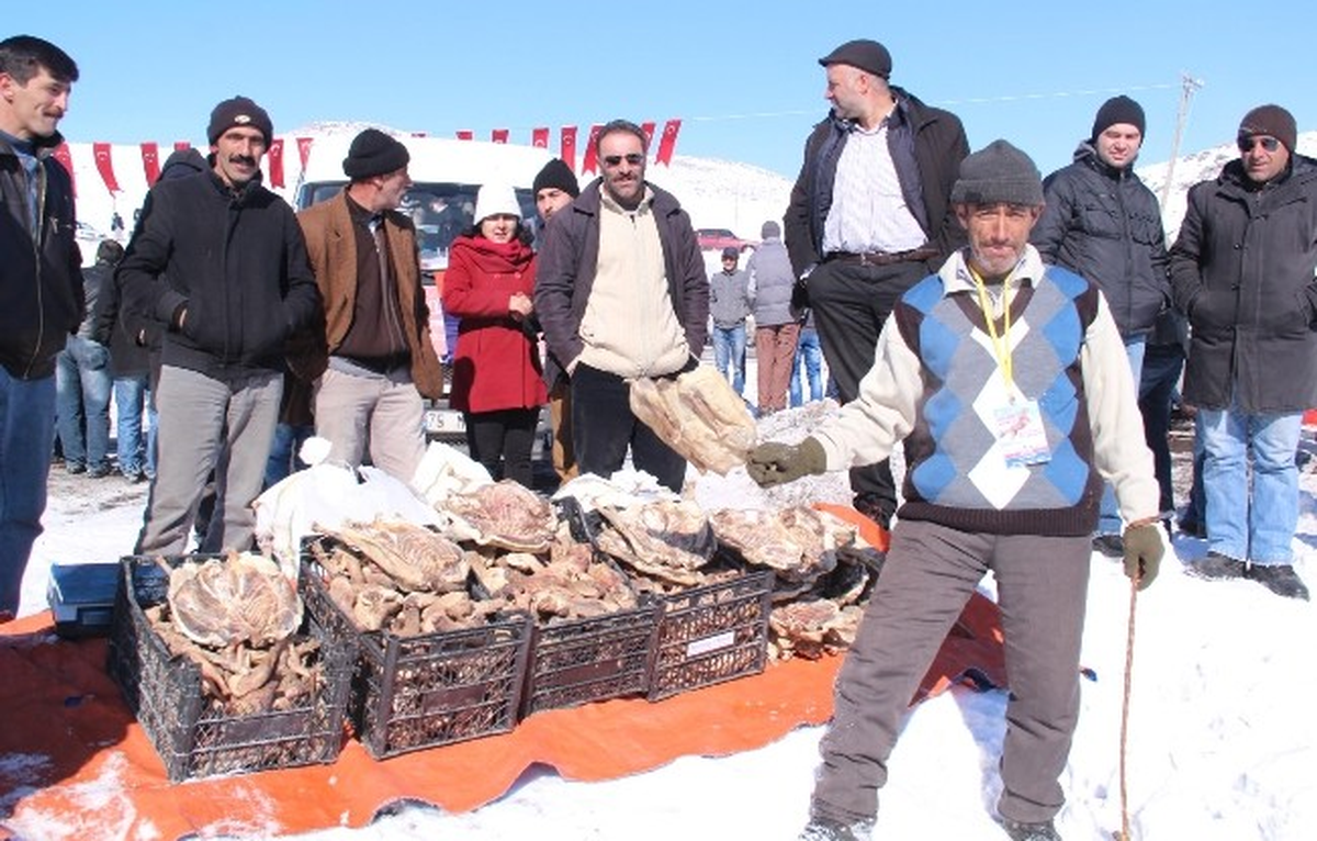 Festivalde Kaz Satışı