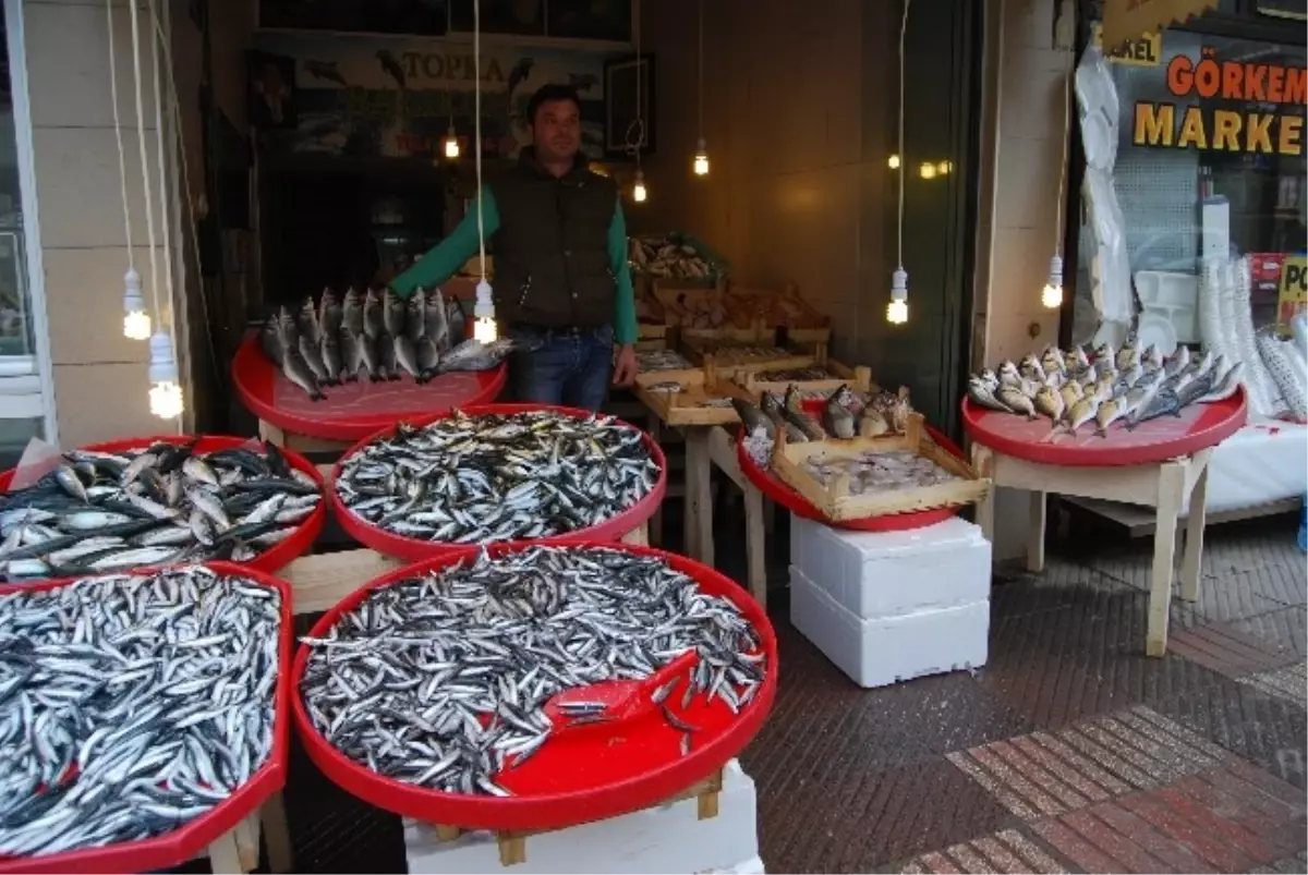 Hamsi Balığı Bolluğu Tekirdağ\'da da Hissedildi