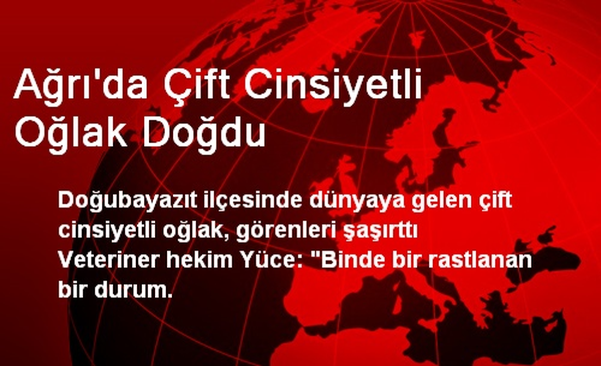 Ağrı\'da Çift Cinsiyetli Oğlak Doğdu