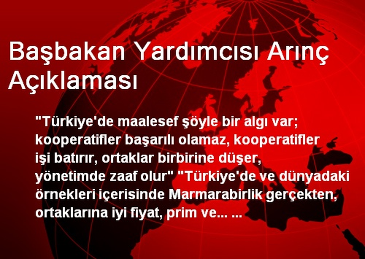 Başbakan Yardımcısı Arınç Açıklaması