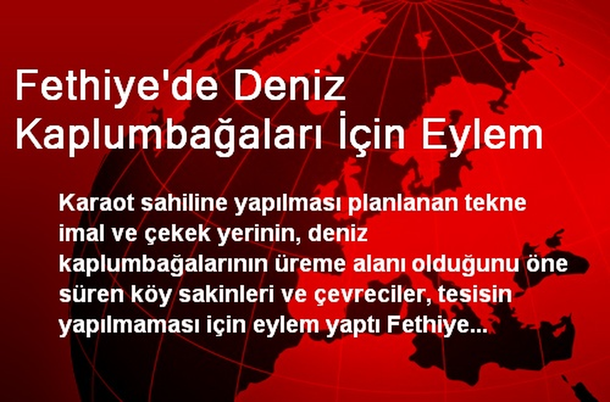Fethiye\'de Deniz Kaplumbağaları İçin Eylem