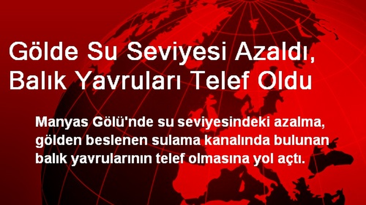 Gölde Su Seviyesi Azaldı, Balık Yavruları Telef Oldu