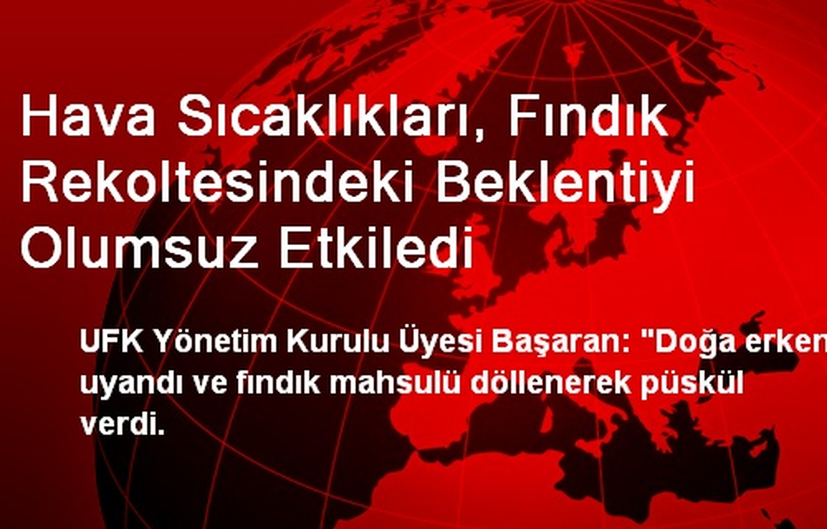 Hava Sıcaklıkları, Fındık Rekoltesindeki Beklentiyi Olumsuz Etkiledi