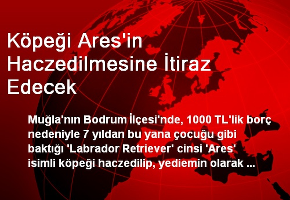 Köpeği Ares\'in Haczedilmesine İtiraz Edecek