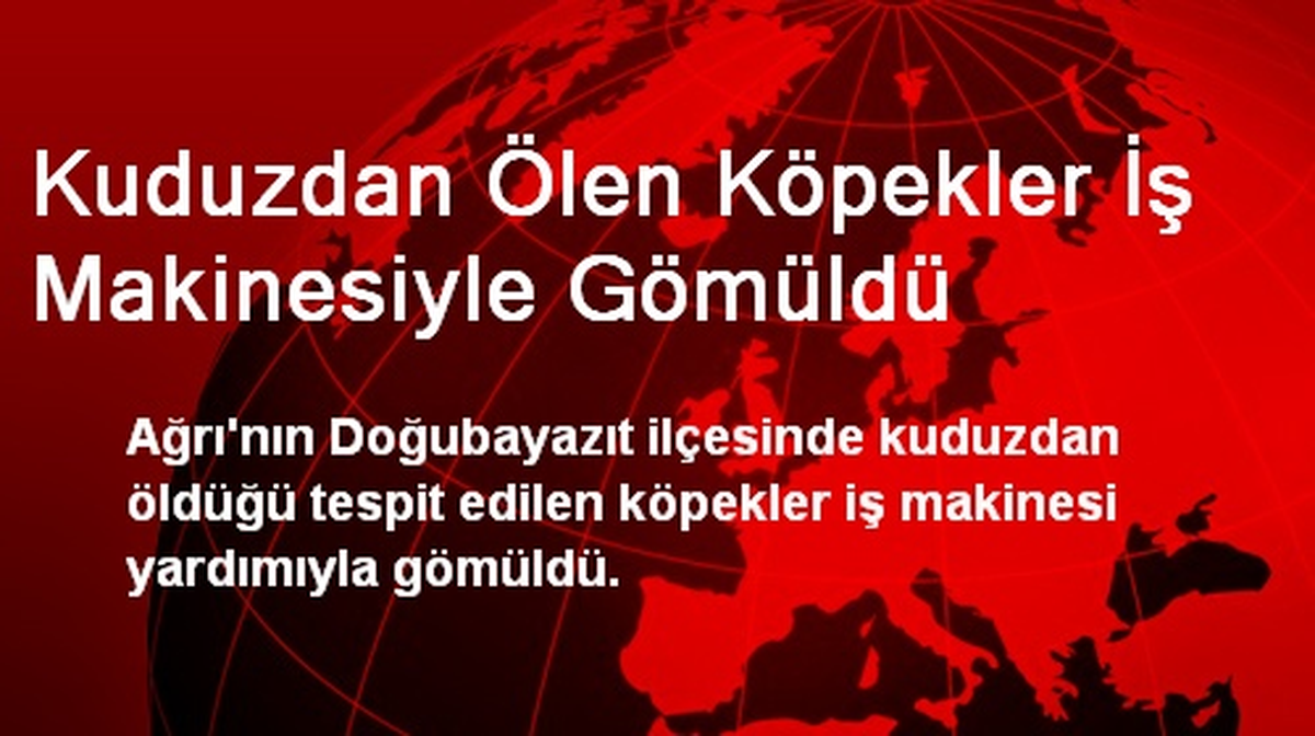 Kuduzdan Ölen Köpekler İş Makinesiyle Gömüldü