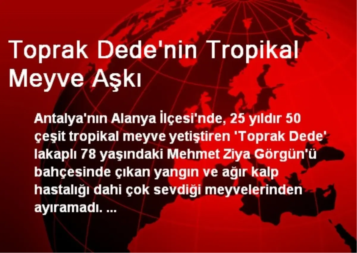 Toprak Dede'nin Tropikal Meyve Aşkı