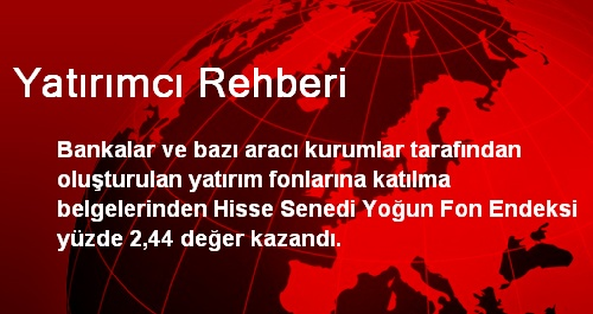 Yatırımcı Rehberi