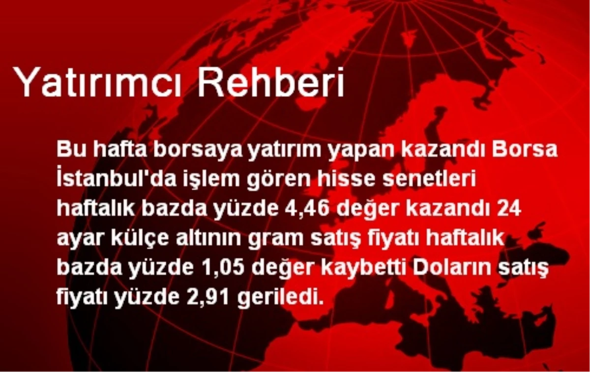 Yatırımcı Rehberi