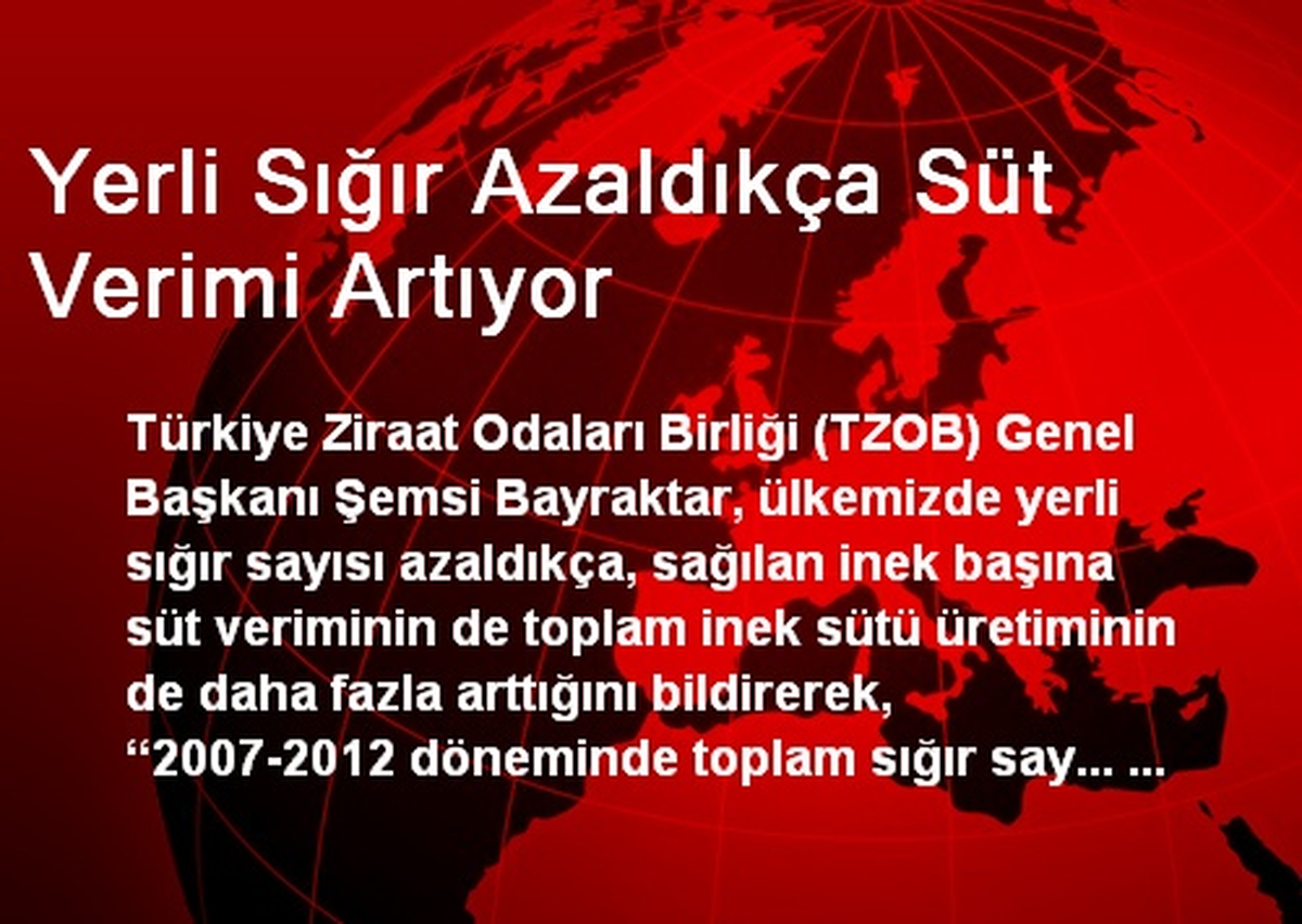 Yerli Sığır Azaldıkça Süt Verimi Artıyor