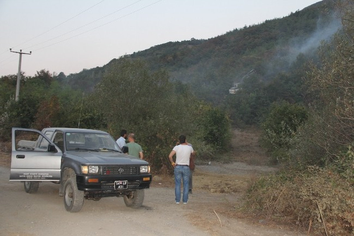 Sakarya\'da Orman Yangınıyla Mücadelede 29 Araç Kullanılıyor