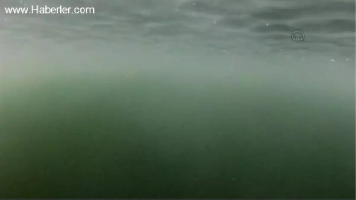 Dalgıçlar, Sapanca Gölü'nün zeminini görüntüledi -