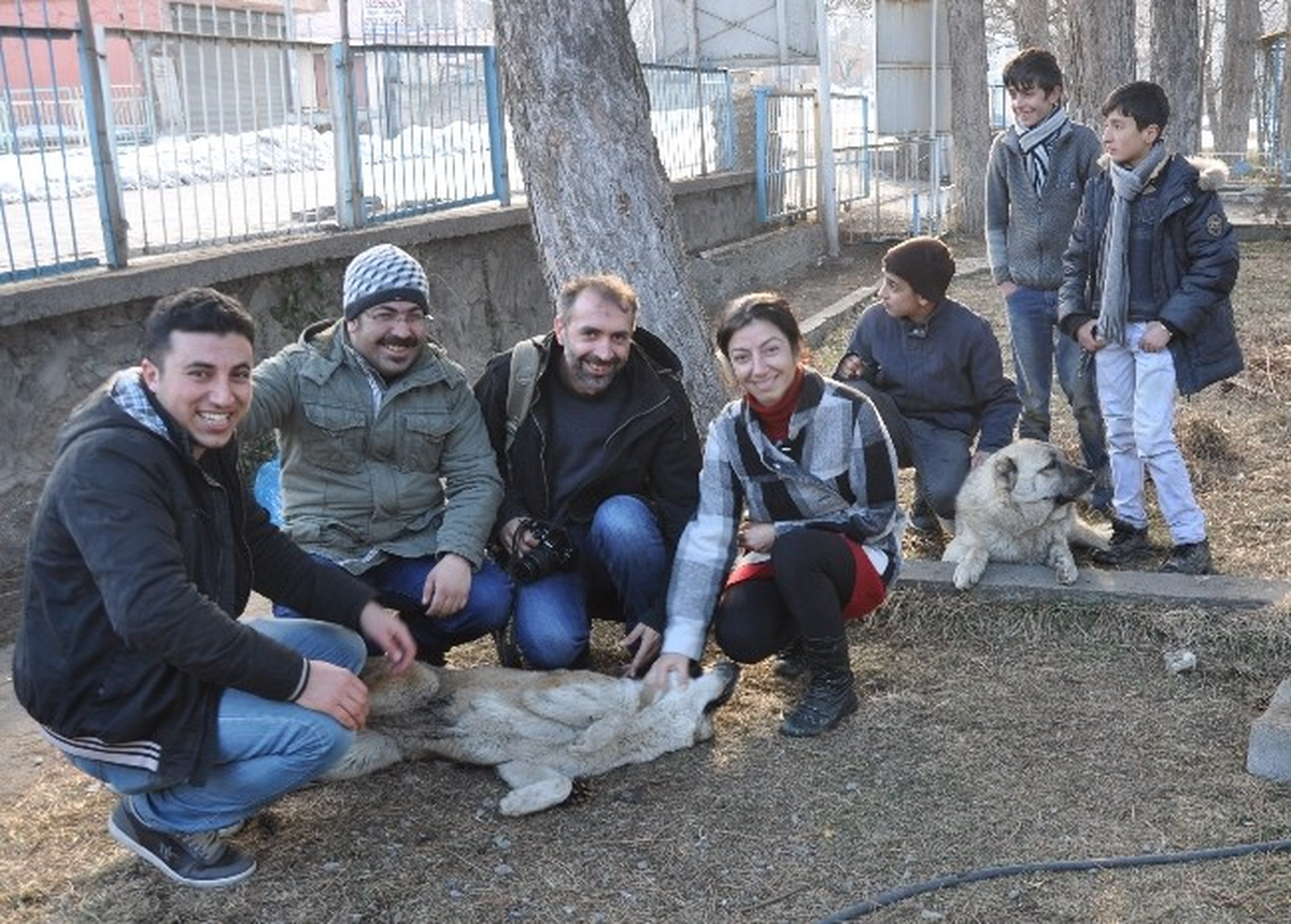 Gazeteciler Donmaktan Kurtardıkları Köpekleri Ziyaret Etti