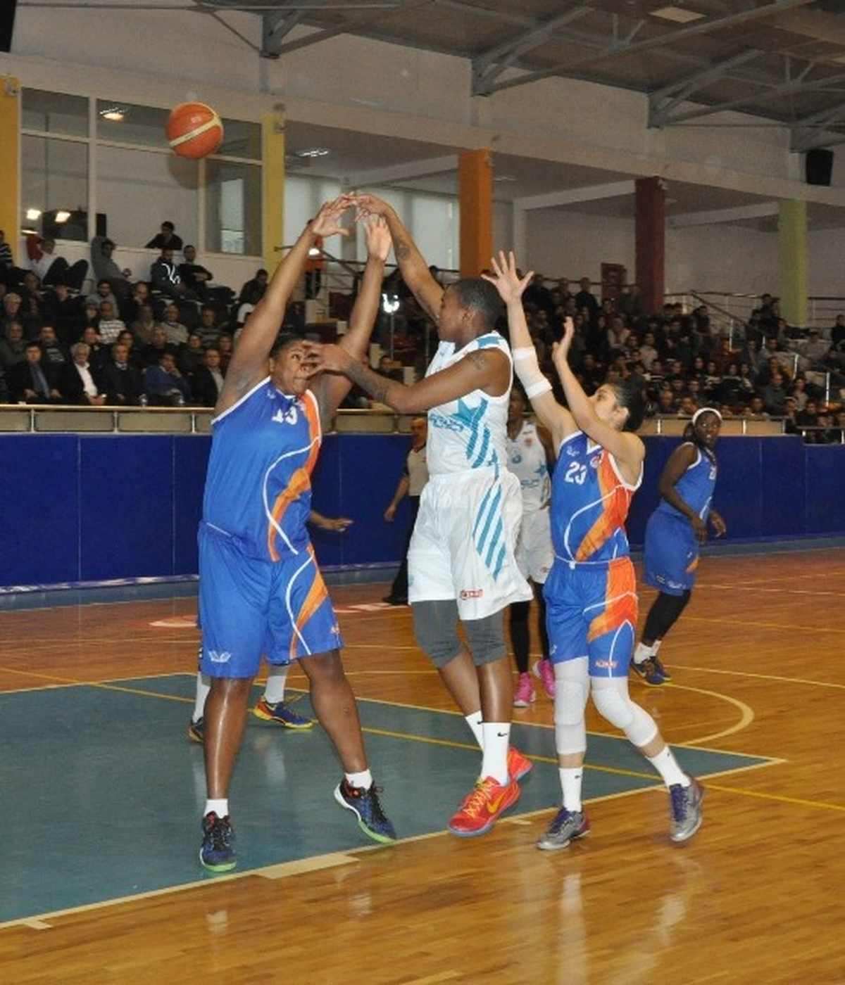Kadınlar Basketbol 1. Ligi