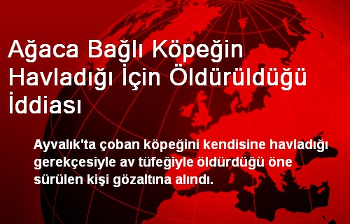 Ağaca Bağlı Köpeğin Havladığı İçin Öldürüldüğü İddiası