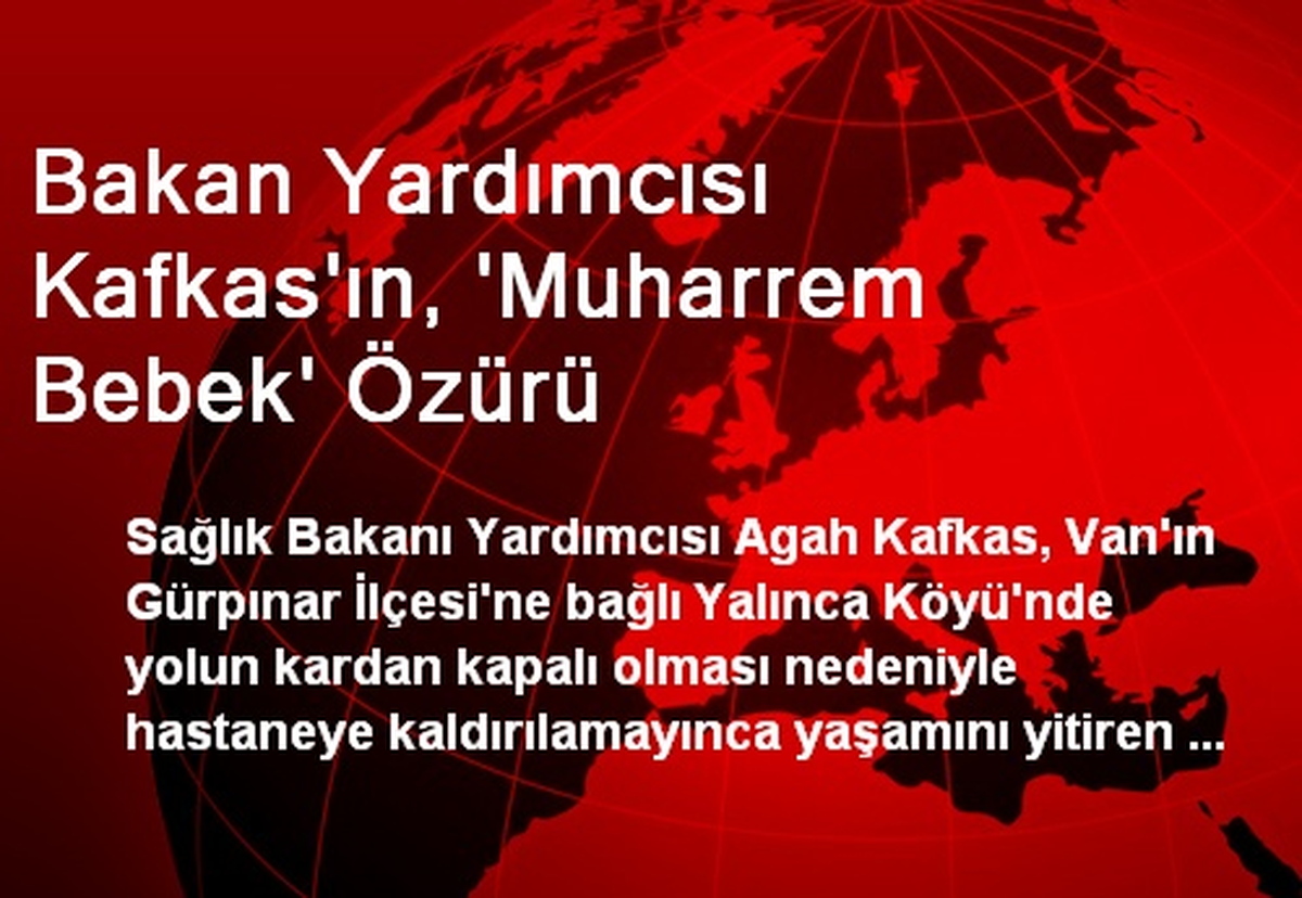 Bakan Yardımcısı Kafkas\'ın, \'Muharrem Bebek\' Özürü