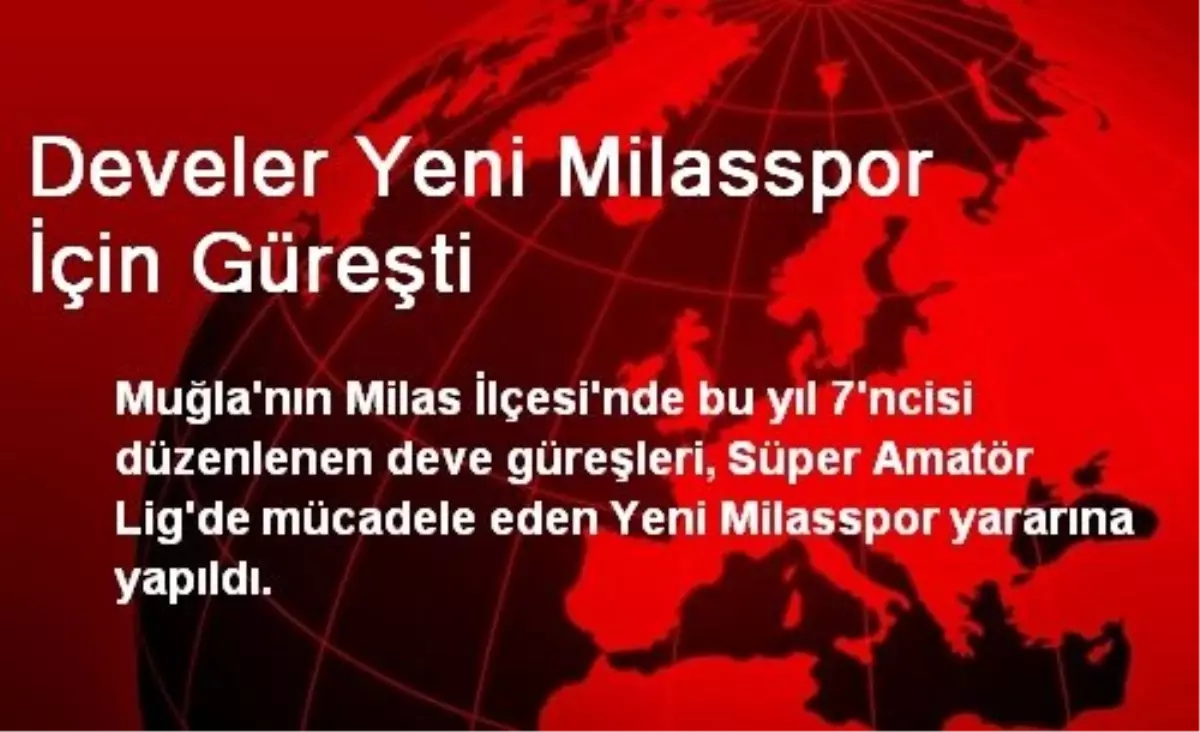 Develer Yeni Milasspor İçin Güreşti