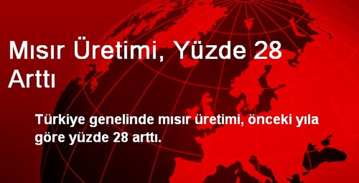 Mısır Üretimi, Yüzde 28 Arttı