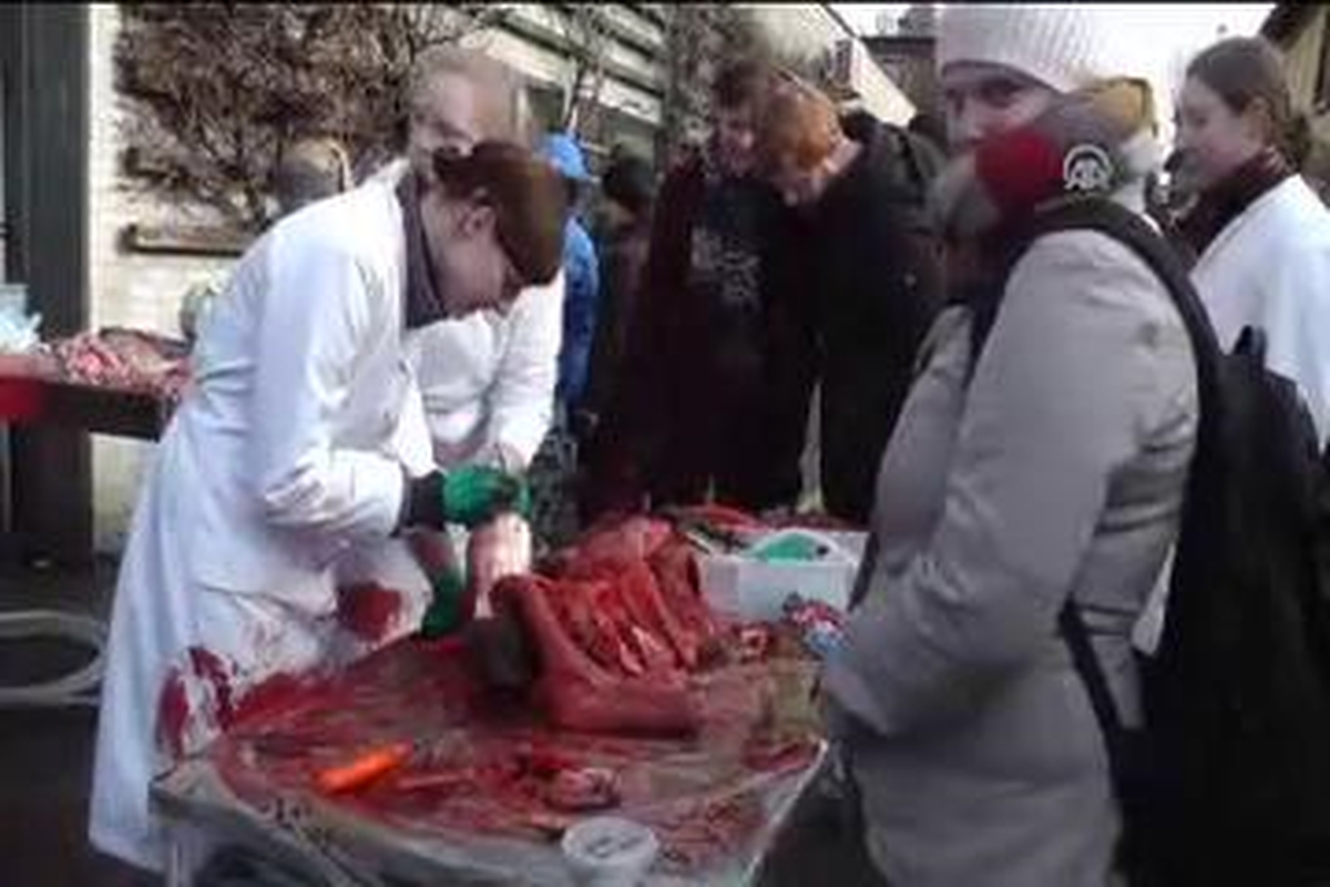 Zürafa 'Marius' Kesimden Kurtulamadı