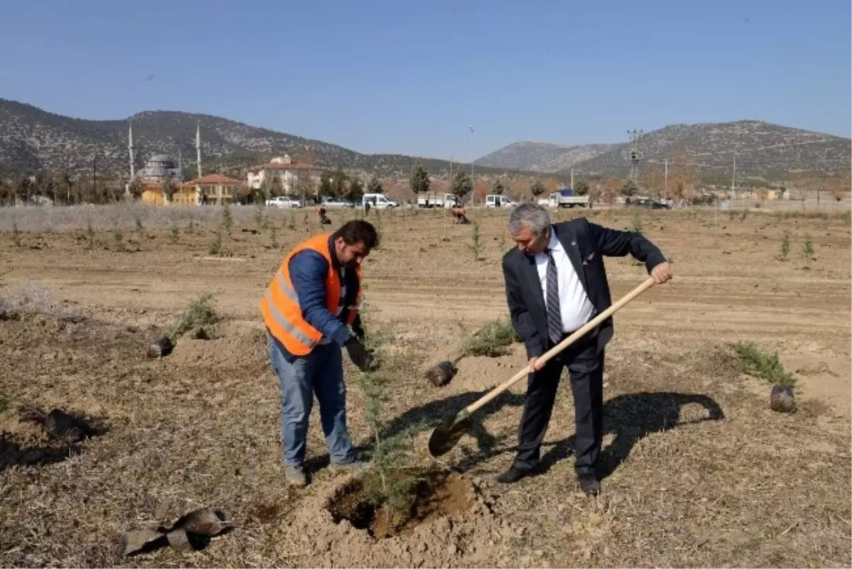 100 Bin Fidan Toprakla Buluşacak