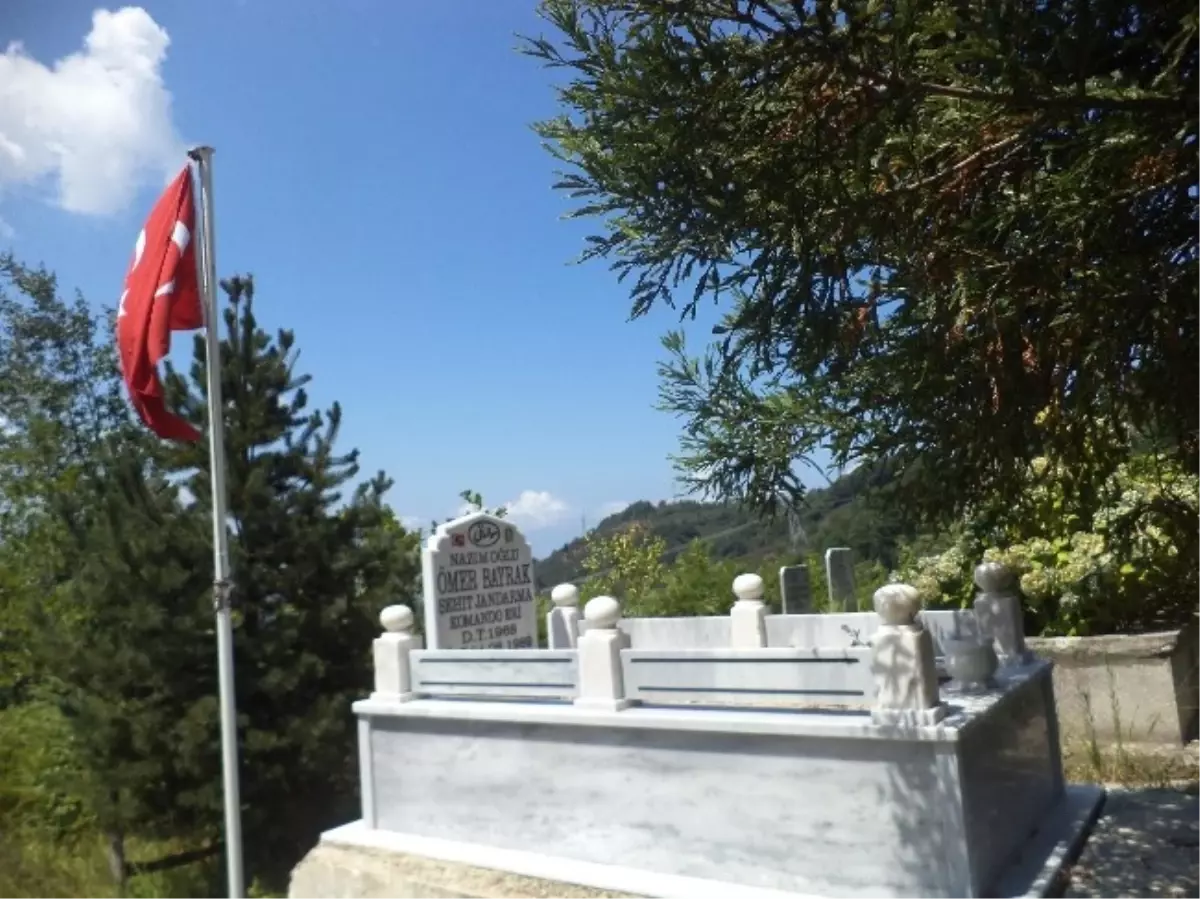 Espiye Kaymakamlığından Şehit ve Gazilere Vefa