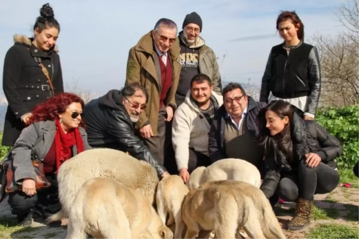 Haldun Dormen ve Ada Gönüllüleri Sokak Hayvanları İçin Bir Araya Geldi