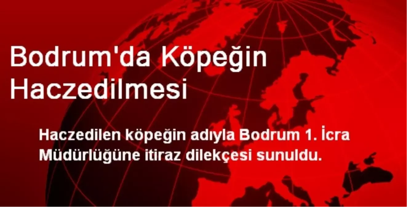 Bodrum\'da Köpeğin Haczedilmesi