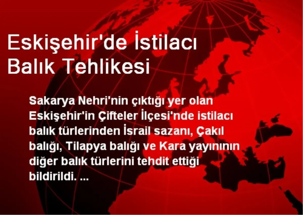 Eskişehir\'de İstilacı Balık Tehlikesi