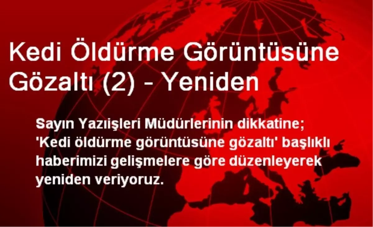 Kedi Öldürme Görüntüsüne Gözaltı (2) - Yeniden