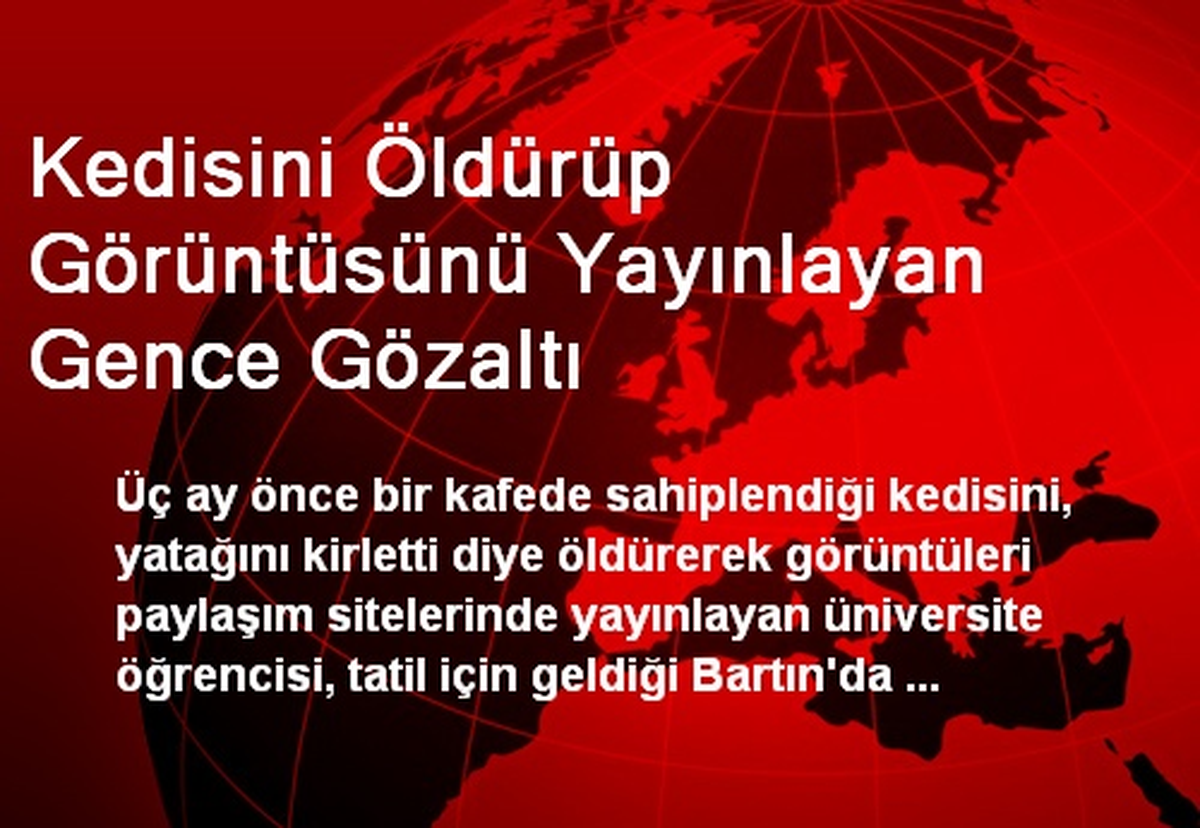 Kedisini Öldürüp Görüntüsünü Yayınlayan Gence Gözaltı