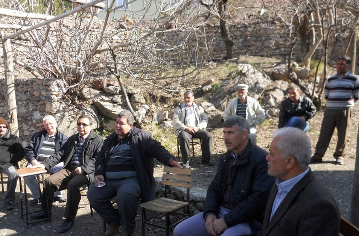 Dalaman\'da Zeytin Ağacı Budama Kampanyası Başladı
