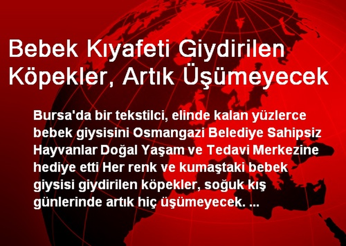 Bebek Kıyafeti Giydirilen Köpekler, Artık Üşümeyecek