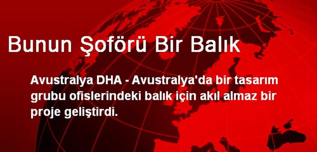 Bunun Şoförü Bir Balık