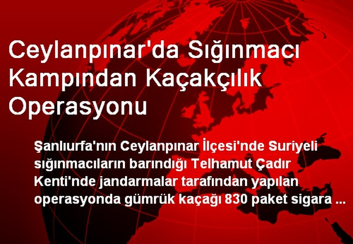 Ceylanpınar\'da Sığınmacı Kampından Kaçakçılık Operasyonu